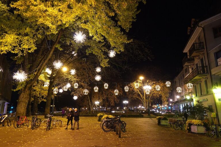 Des guirlandes de lanternes et d’étoiles lumineuses tendues sous les arbres d’une place d’Annecy, la nuit