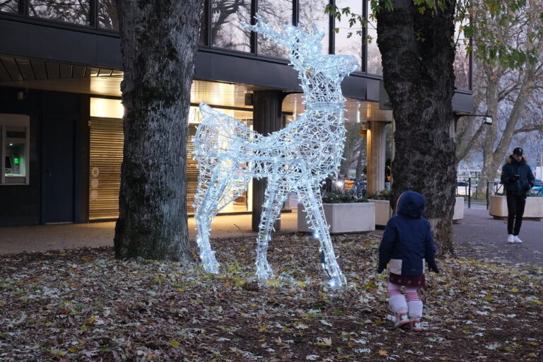 Un renne lumineux posé sur un tapis de feuilles mortes, qu’un jeune enfant de dos s’approche de regarder