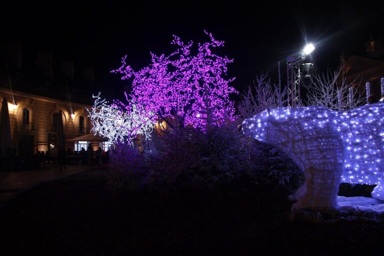 Un ours polaire et des arbres lumineux violets et blancs, décor de Noël du centre de Dijon, la nuit