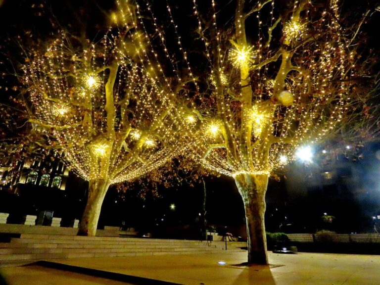 Deux platanes couverts de guirlandes dorées et d’étoiles lumineuses sur une esplanade de Marseille, la nuit