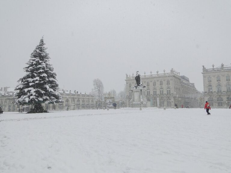 La place Stanislas couverte de neige, avec le sapin de Noël enneigé et la statue de Stanislas au centre