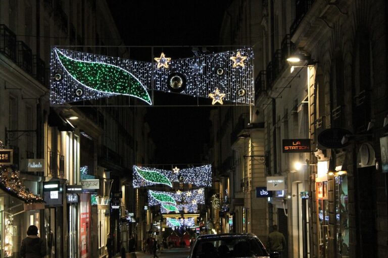 Motifs lumineux de feuilles et d’étoiles suspendus au-dessus d’une rue commerçante de Nantes, de nuit