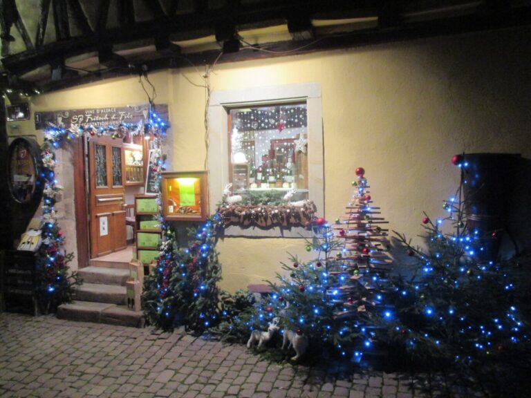 Maison du village éclairée de nuit, entourée de petits sapins aux lumières bleues