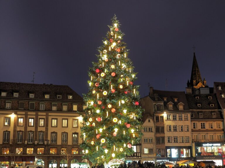 Le grand sapin illuminé de la place Kléber devant les façades de la place, à la nuit tombante