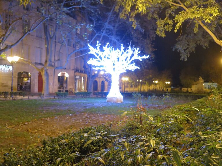 Arbre lumineux blanc dans le jardin de la place de la Canourgue, au crépuscule
