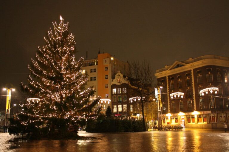 Sapin couvert de lumières sur le Nieuwmarkt d’Amsterdam, la nuit, devant les maisons anciennes éclairées