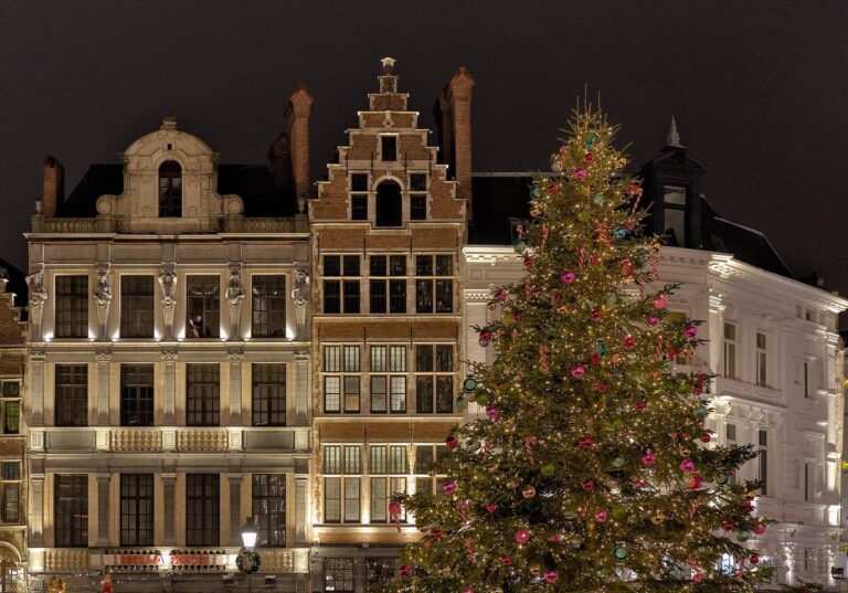 Le grand sapin illuminé de la Grote Markt d’Anvers devant les maisons de guildes éclairées, à la nuit tombée