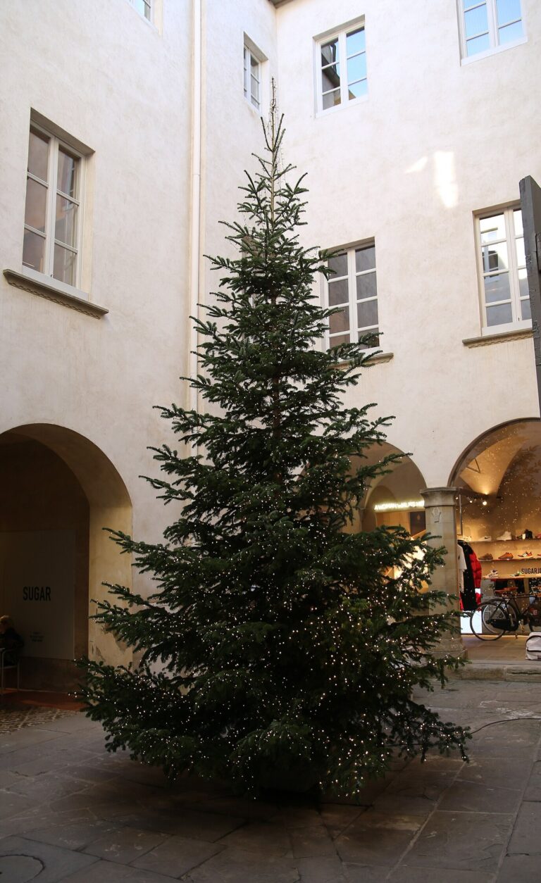 Un grand sapin de Noël au milieu de la cour à arcades du palais Lambardi, sur le corso Italia d’Arezzo