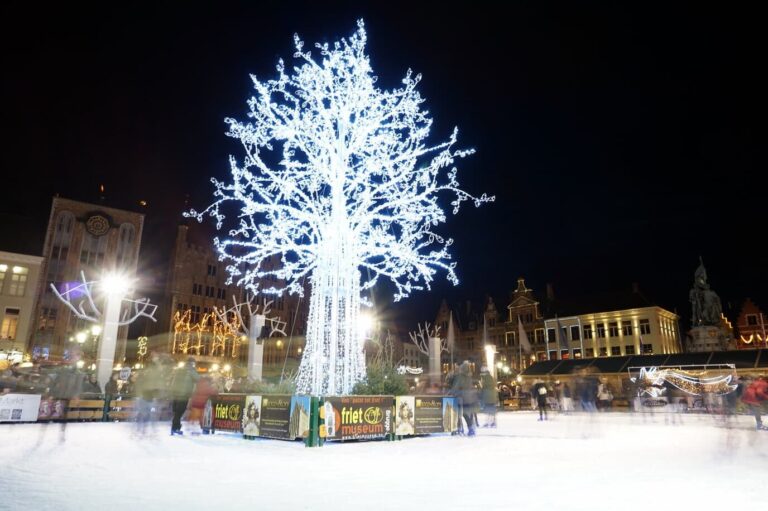Un grand arbre lumineux blanc au milieu de la patinoire du Markt, la nuit