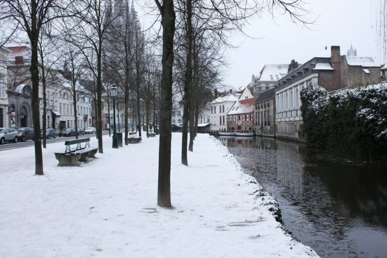 Un quai de canal bordé d’arbres et couvert de neige, dans le centre de Bruges