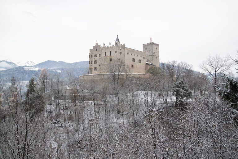 Le château de Brunico sur sa colline, au-dessus des arbres couverts de neige