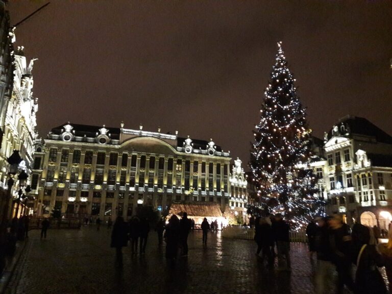La Maison du Roi éclairée et le sapin illuminé de la Grand-Place, par un soir de pluie
