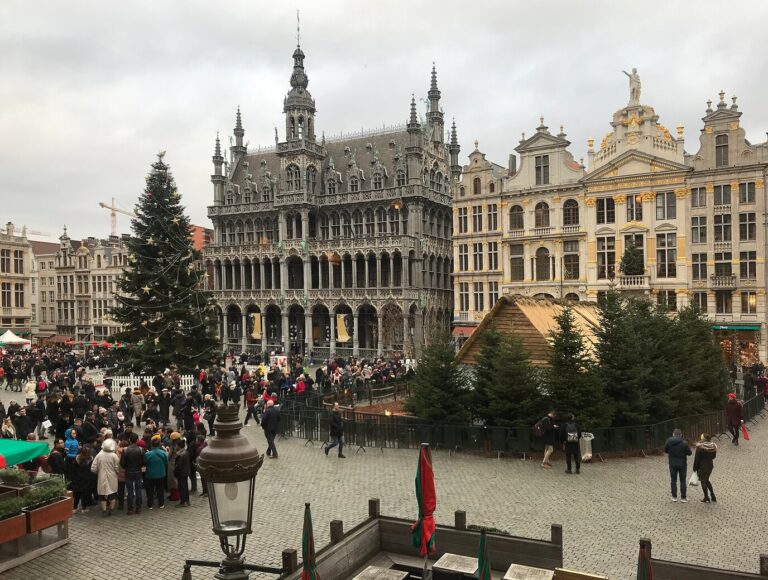 La Grand-Place en décembre, avec son sapin, la Maison du Roi et les maisons de guilde, un jour gris