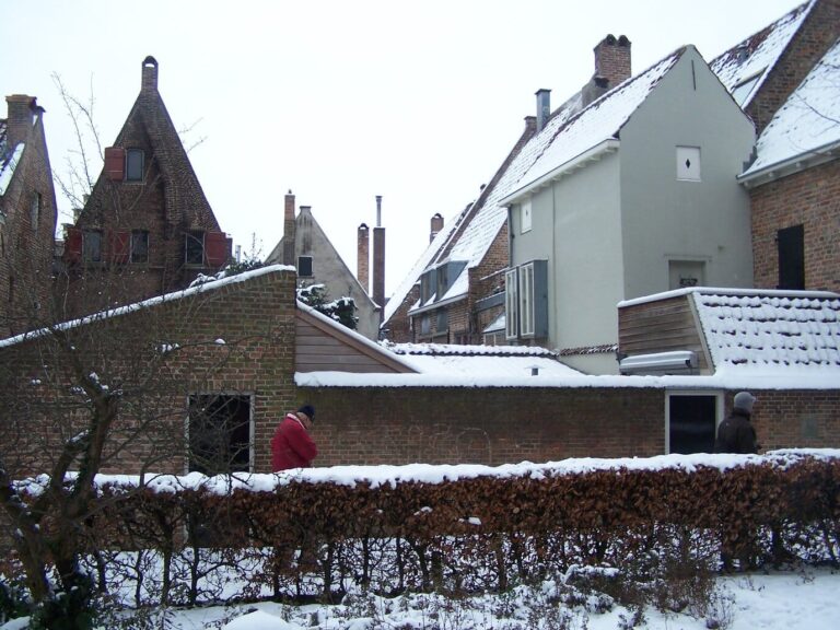 Toits enneigés et pignons anciens du Bergkwartier de Deventer, en hiver