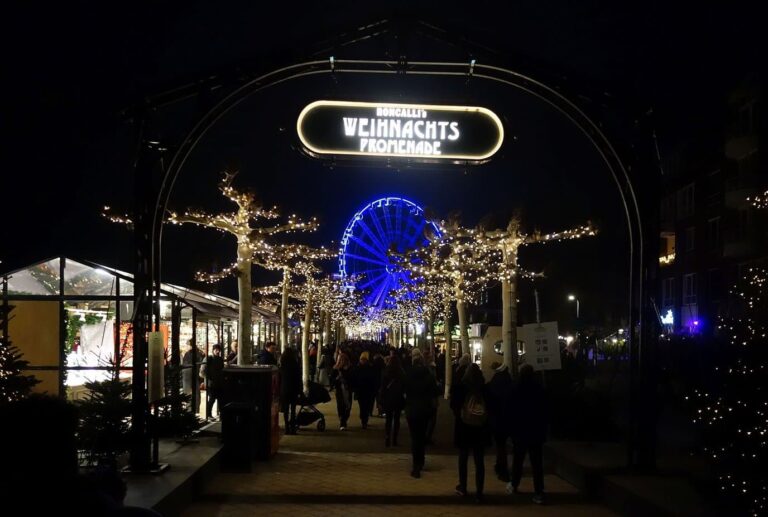 L’arche d’entrée de la Weihnachtspromenade au bord du Rhin, avec ses arbres lumineux et la grande roue bleue au loin, la nuit