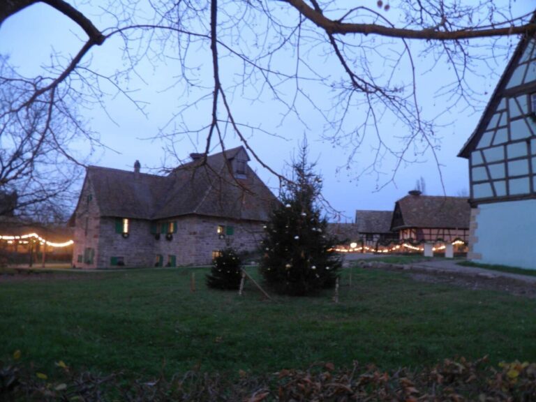 Petit sapin illuminé sur un pré devant des fermes du village, à la tombée du jour