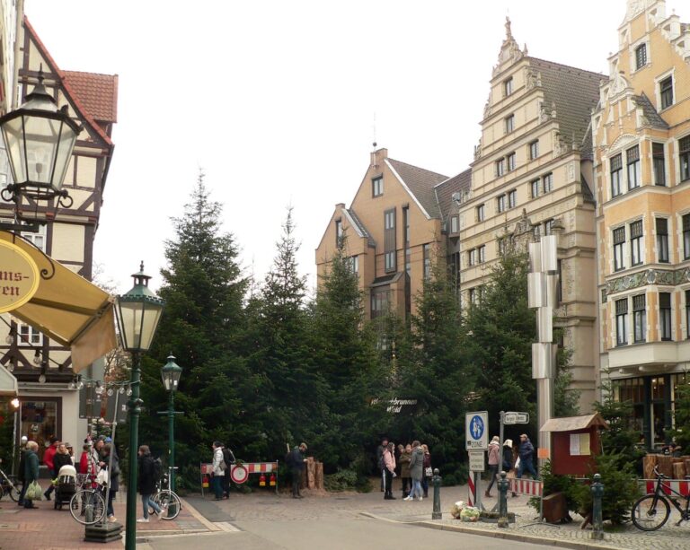 Le petit bois de sapins du Wunschbrunnenwald sur le Holzmarkt, entre les façades anciennes de la vieille ville de Hanovre
