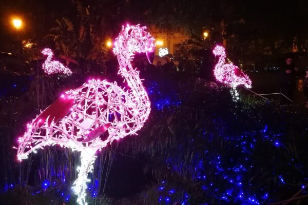 Noël à Salerne : les Luci d’Artista