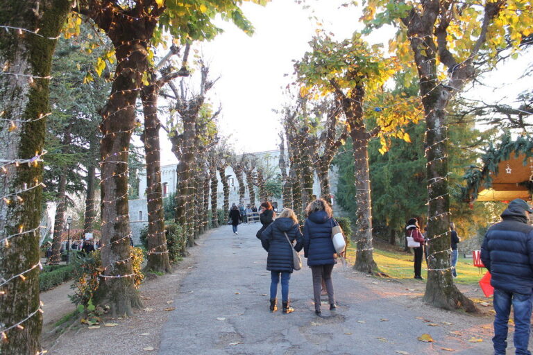 Promeneurs de dos sur une allée d’arbres aux troncs habillés de guirlandes, en fin d’après-midi