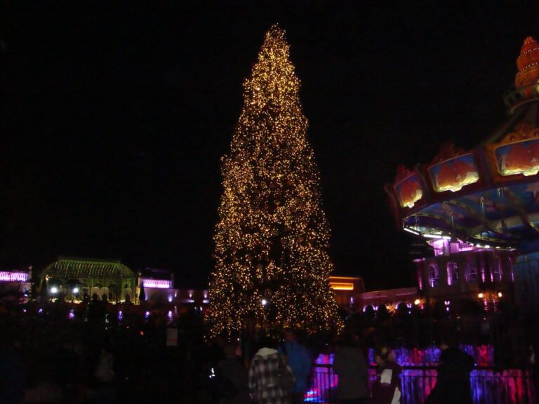 Un grand sapin couvert de lumières dorées au milieu du parc, la nuit