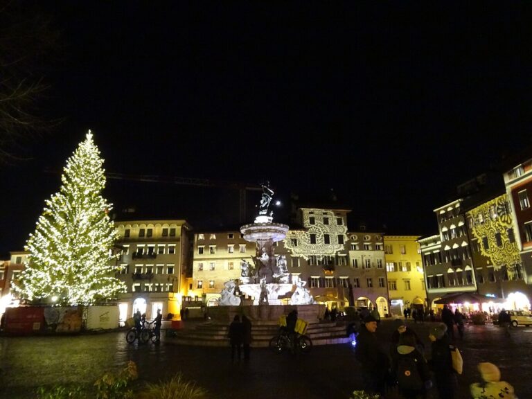 Sapin illuminé et fontaine de Neptune sur la piazza Duomo de Trente, la nuit