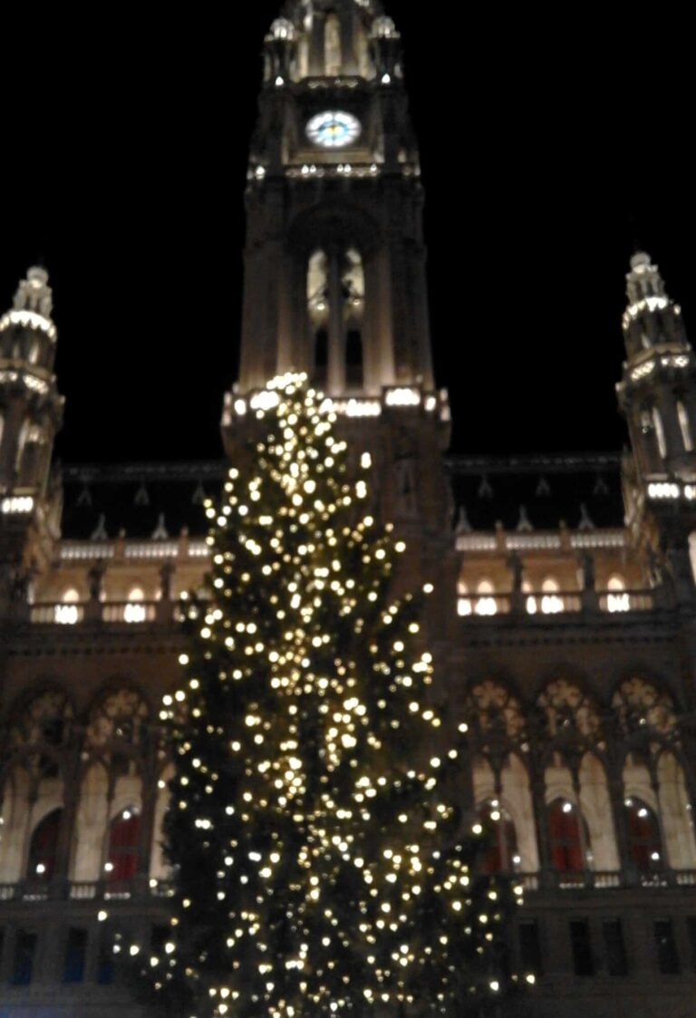 Grand sapin illuminé devant la tour de l’hôtel de ville de Vienne, la nuit