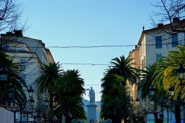 La statue de Napoléon de la place Foch, à Ajaccio, encadrée de palmiers et de platanes sans feuilles, en hiver