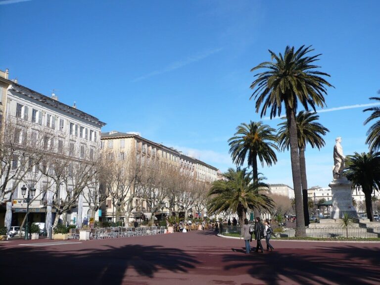 La place Saint-Nicolas à Bastia en hiver, ses palmiers, la statue de Napoléon et les immeubles bordés de platanes sans feuilles