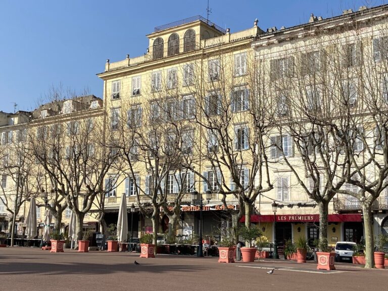 Les façades et les terrasses de la place Saint-Nicolas, derrière une rangée de platanes dénudés, au début du printemps
