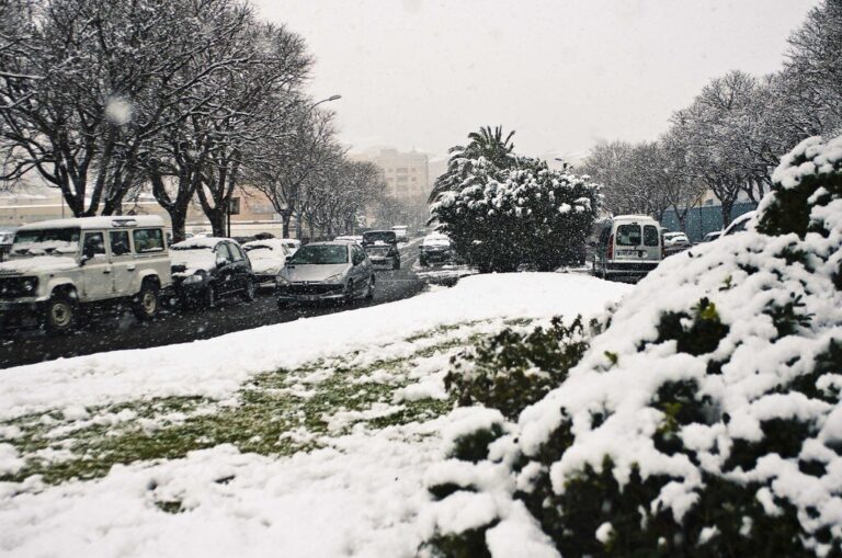 Une avenue de Bastia sous la neige, voitures et arbres blanchis, un jour de février