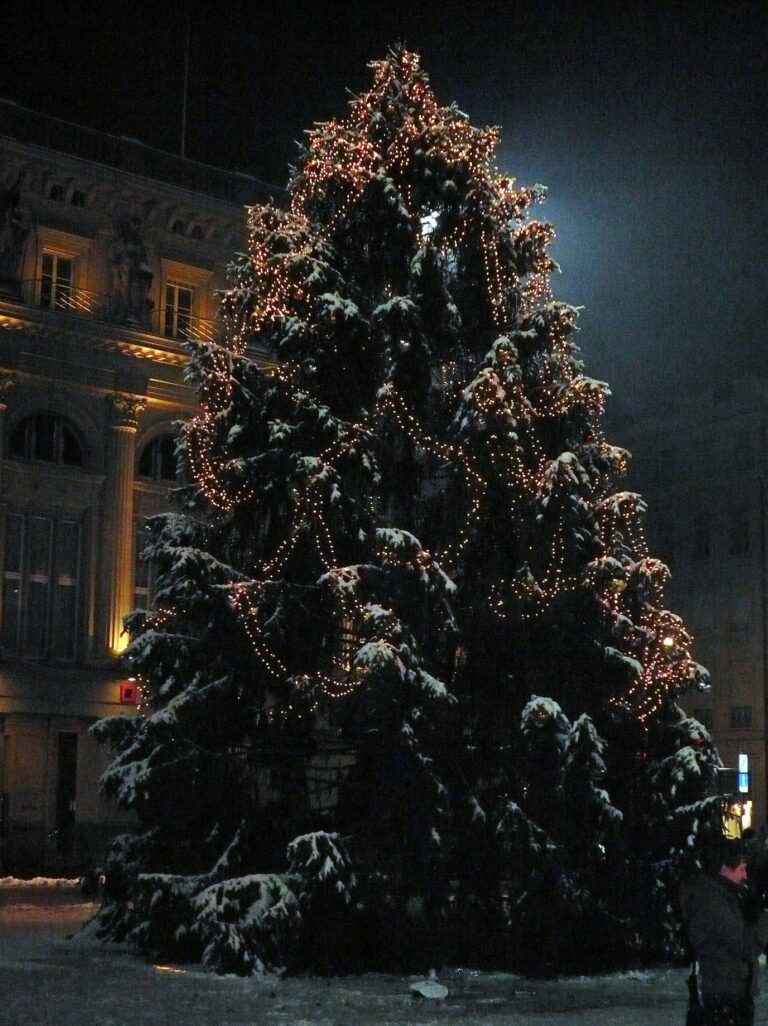 Le sapin de Noël de la Bundesplatz couvert de neige et de guirlandes lumineuses, la nuit