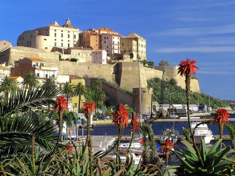 La citadelle de Calvi au-dessus des maisons de la ville basse, derrière des aloès en fleur, en janvier