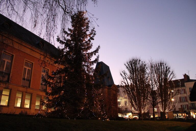 Un grand sapin et des arbres garnis de guirlandes lumineuses près de l’hôtel de ville, sous un ciel mauve de décembre