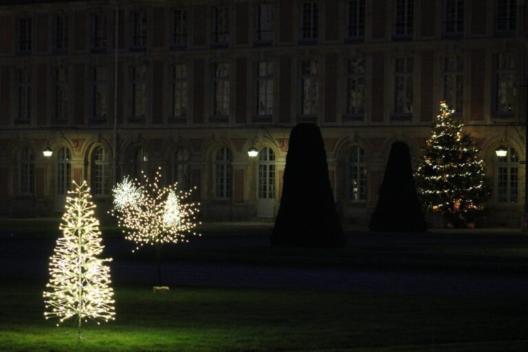 Arbres lumineux et sapin décoré la nuit sur les pelouses de la cour d’Honneur, devant la façade du château
