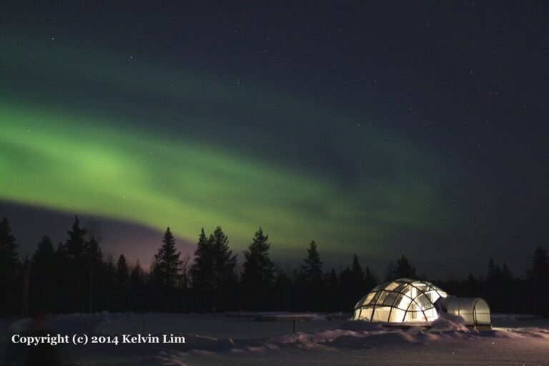 Un igloo de verre éclairé au premier plan et une aurore boréale verte au-dessus de la forêt