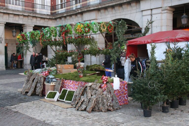 Un stand de la Plaza Mayor qui vend de la mousse, de l’écorce de liège et des petits sapins pour les crèches, sous des guirlandes de verdure