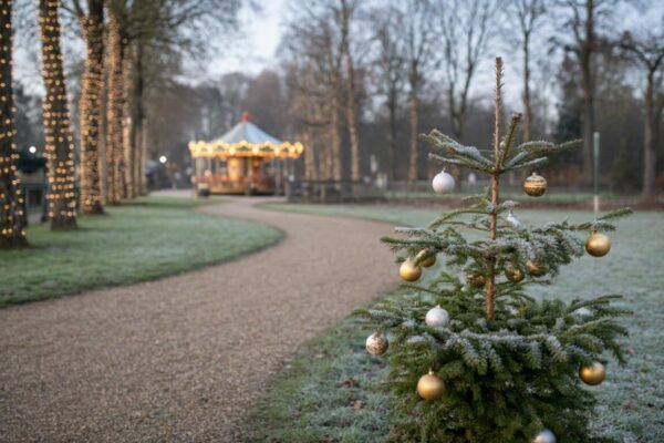 Un Noël en famille près de Lille : Bellewaerde, Plopsaland, Pairi Daiza
