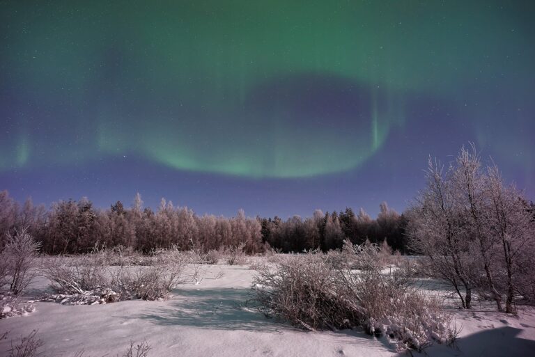 Aurore boréale verte au-dessus d’une rivière gelée et d’arbres givrés, en Laponie finlandaise