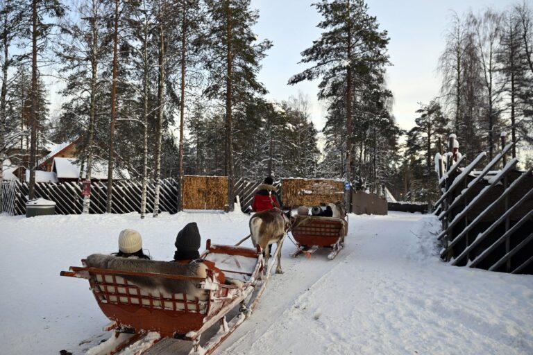 Des passagers vus de dos dans un traîneau tiré par un renne, sur une piste enneigée entre les pins, au Santa Claus Village de Rovaniemi