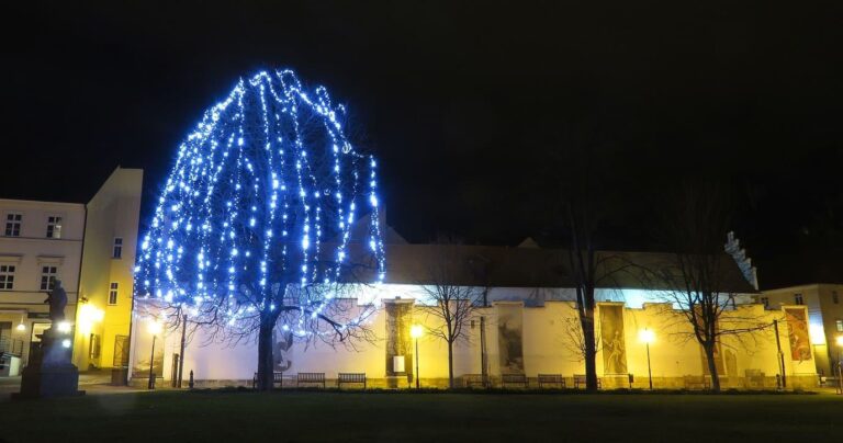 Un arbre de lumières bleues devant les anciennes halles aux viandes, les Masné krámy, dans la rue Pražská de Plzeň, un soir de décembre
