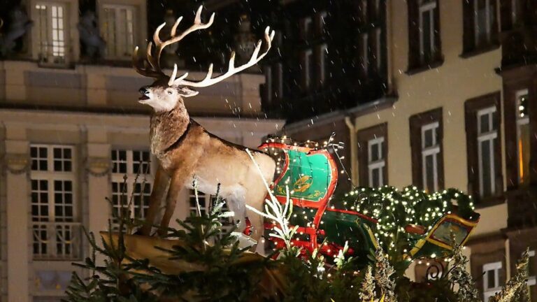 Décor de Noël avec un grand cerf et un traîneau parmi les branches de sapin lumineuses, au-dessus d’un chalet du marché