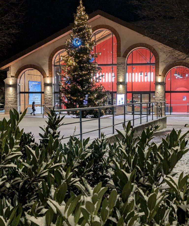 Un grand sapin illuminé devant les arcades éclairées du Manège, à l’espace Saint-Germain, un soir de janvier après une averse de neige