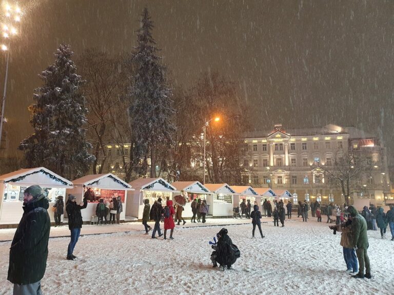 Des chalets blancs du marché de Noël sous une chute de neige, place de la Cathédrale de Vilnius, de nuit