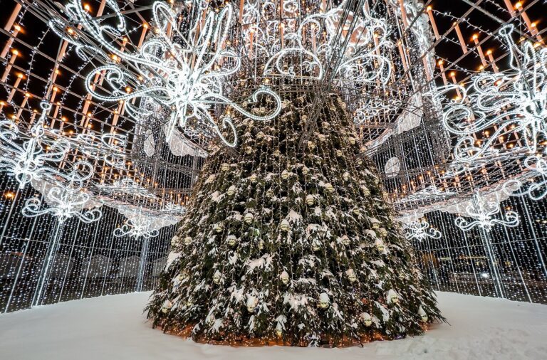 Le sapin de Noël de la place de la Cathédrale vu de l’intérieur de sa structure de guirlandes lumineuses, couvert de neige