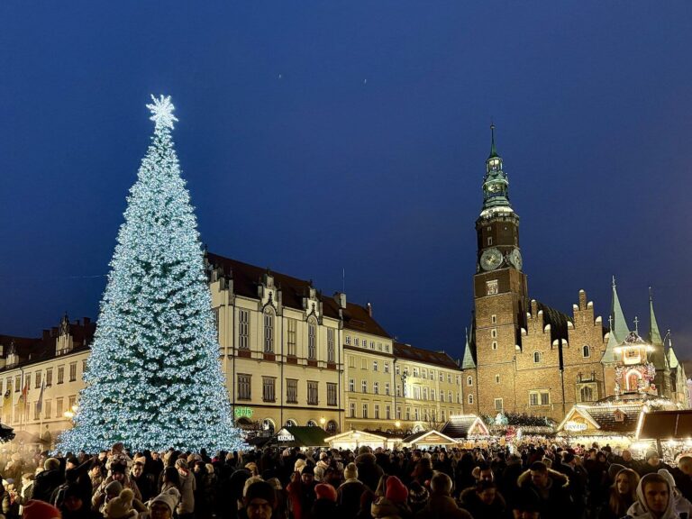 Le sapin du Rynek de Wrocław éclairé au crépuscule, avec la tour de l’hôtel de ville