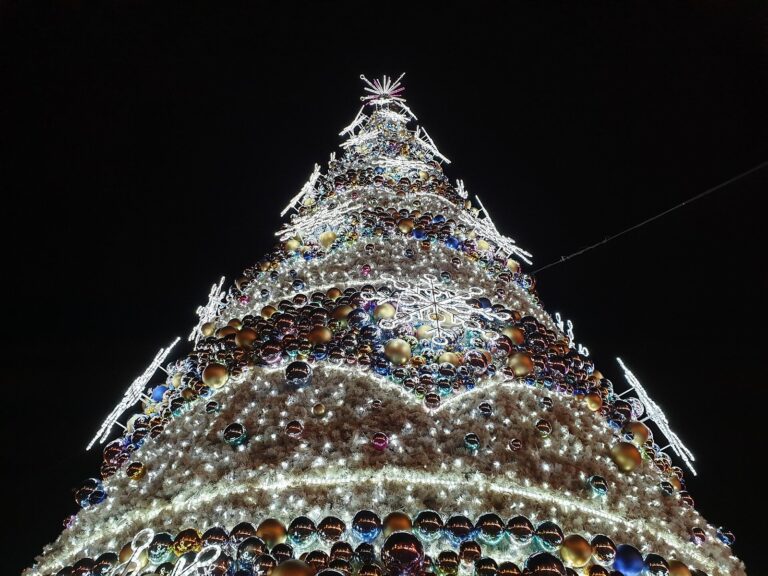 Détail du grand sapin du Rynek de Wrocław, orné de boules et d’étoiles lumineuses, de nuit